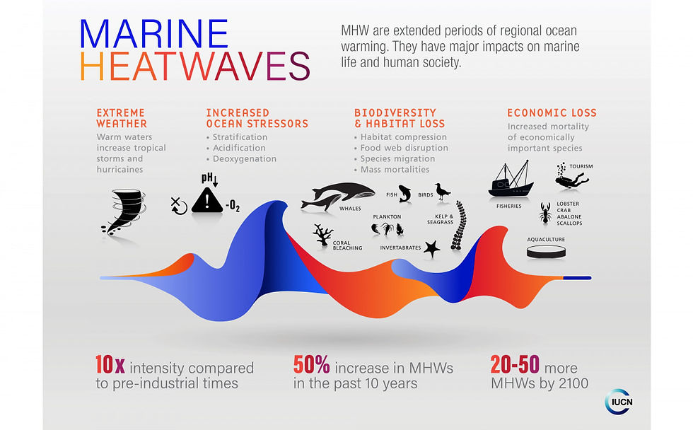 marineheatwaves-infographic-2500x4000_orig.jpg