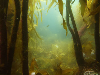 The shallows are where the magic happens