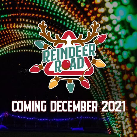 REINDEER ROAD | A New Light Attraction Comes to Naperville this Holiday Season