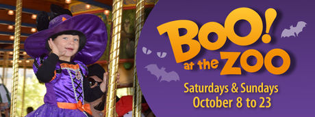 BOO AT THE ZOO | Enjoy Fall Family Fun at Brookfield Zoo 
