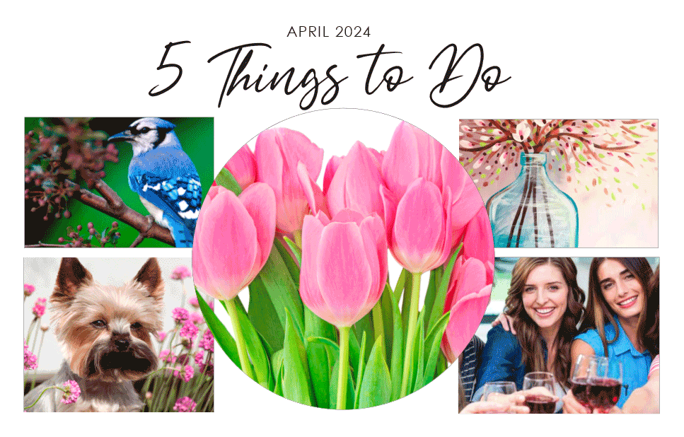 5 THINGS TO DO | April 2024