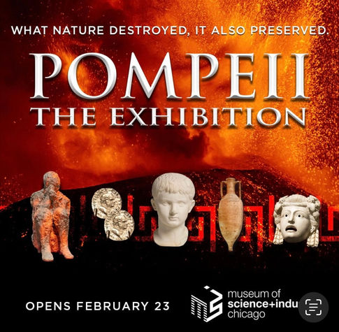 HISTORY EXPLORED | Pompeii: The Exhibition at MSI Chicago