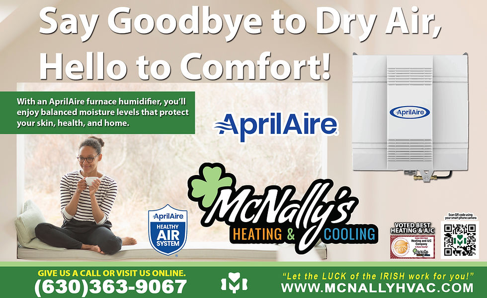 HOME SERVICES | The Importance of Whole-House Humidification During Winter