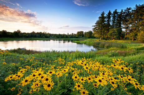 LISLE | Morton Salt Proudly Announces Premier "Plant Trees" Sponsorship of The Morton Arboretum