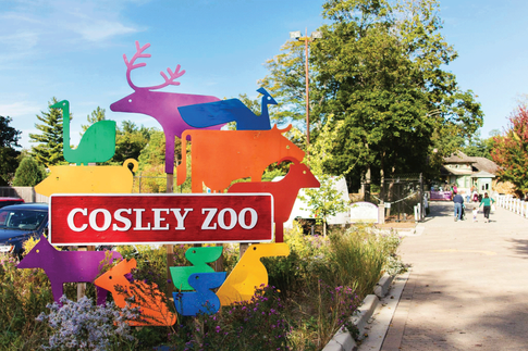 UNIQUE IN SUBURBIA | Plan an Adventure-Filled Day Trip to Cosley Zoo