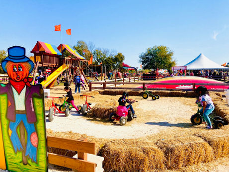 FALL PUMPKIN FEST | Windy Acres Farms in Geneva Has a Fun Weekend Planned!