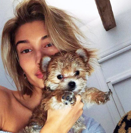 CELEBRITY PETS | Top Social Media Influencers, Including Justin & Hailey Bieber's Oskie the Poskie