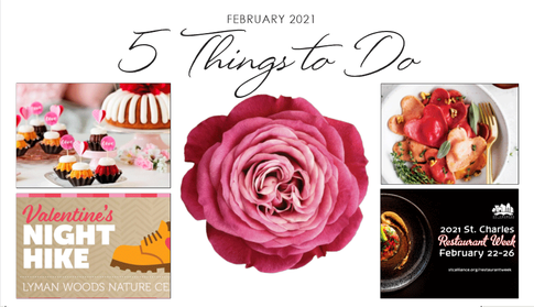 5 THINGS TO DO | Enjoy a Night Hike, Indulge In a Bundtini (or 2), Make Heart Shaped Ravioli & More!