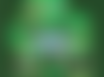 ST. PADDY’S 5K | Held Virtually All Month Long, Participants Can Win Downtown Naperville Gift Cards