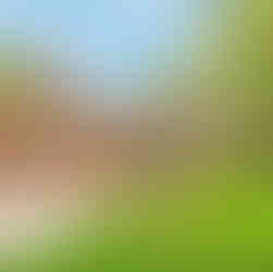 LOCAL LISTING TO LOVE❤️Create Family Memories in Beautiful Knoch Knolls of Naperville on Alyssa Drive