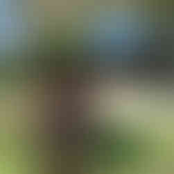 MOM'S LITTLE BLACK BOOK | A European Travel Adventure