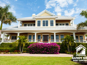 PEST CONTROL | The Importance of Pest Control Maintenance in Naples & Marco Island, Florida for Year-Round Protection