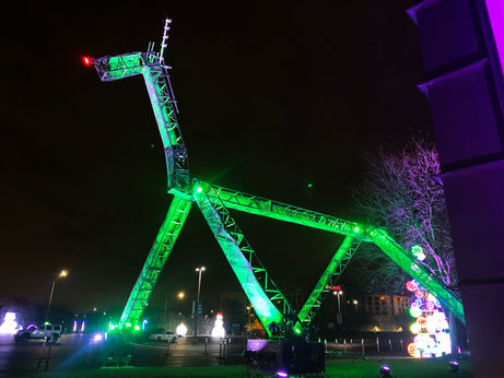NAPERVILLE | World's Tallest Reindeer Spotted In the Western Suburbs