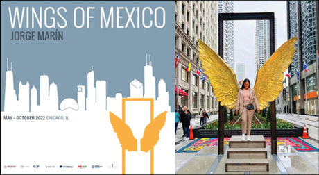 WINGS OF MEXICO | A Unique Exhibit In Chicago 