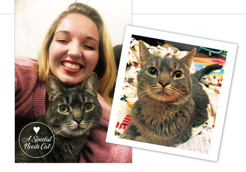FAMILY LOVE STORY | Brooke Sokoloski