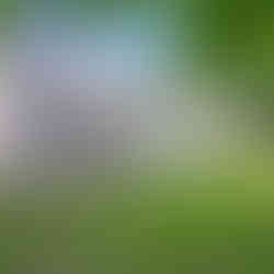 LOCAL LISTING TO LOVE | Denburn Woods Beauty, Downers Grove Living Awaits