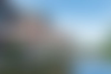 NAPERVILLE | Top Naperville Realtors to Know