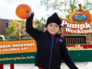 PUMPKIN WEEKENDS 2023 | Blackberry Farm in Aurora Invites You to Experience Fall Fun!