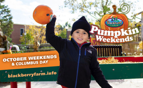 PUMPKIN WEEKENDS 2023 | Blackberry Farm in Aurora Invites You to Experience Fall Fun!