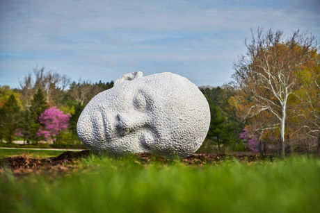 LISLE | New 'Of the Earth' Exhibition Debuts May 26 at The Morton Arboretum