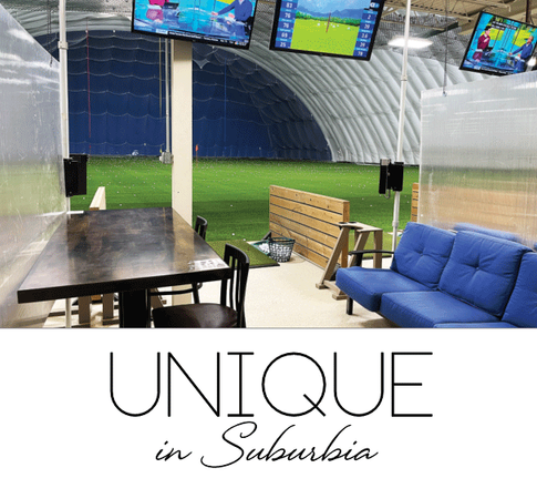 UNIQUE IN SUBURBIA | All Things Golf Indoors at Mistwood Golf Dome In Bolingbrook