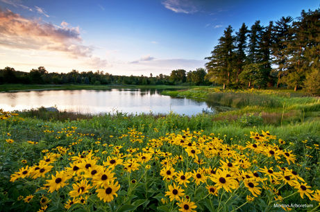 WEEKEND ESCAPE | Local Lakes to Love