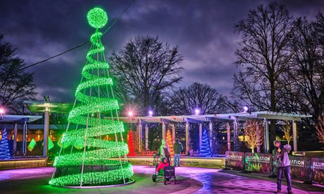 MERRY & BRIGHT | Illumination at Morton Arboretum in Lisle Promises a Unique Holiday Experience