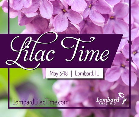 LOMBARD | Lilac Time in Lombard 2025: Your Guide to the Best Flower Festival in Illinois