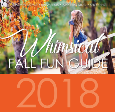 FALL FUN FOR EVERYONE | Whimsical Fall Fun Guide 2018