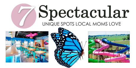 7 SPECTACULAR | Unique Spots Local Moms Love
