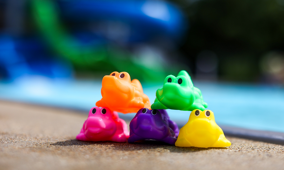 GLEN ELLYN Glen Ellyn Parks Foundation Hosts Inaugural Gator Race at