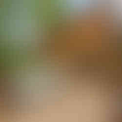 LOCAL LISTING TO LOVE❤️Create Family Memories in Beautiful Knoch Knolls of Naperville on Alyssa Drive