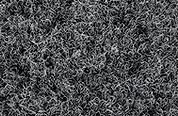 20220819_162515.jpg
