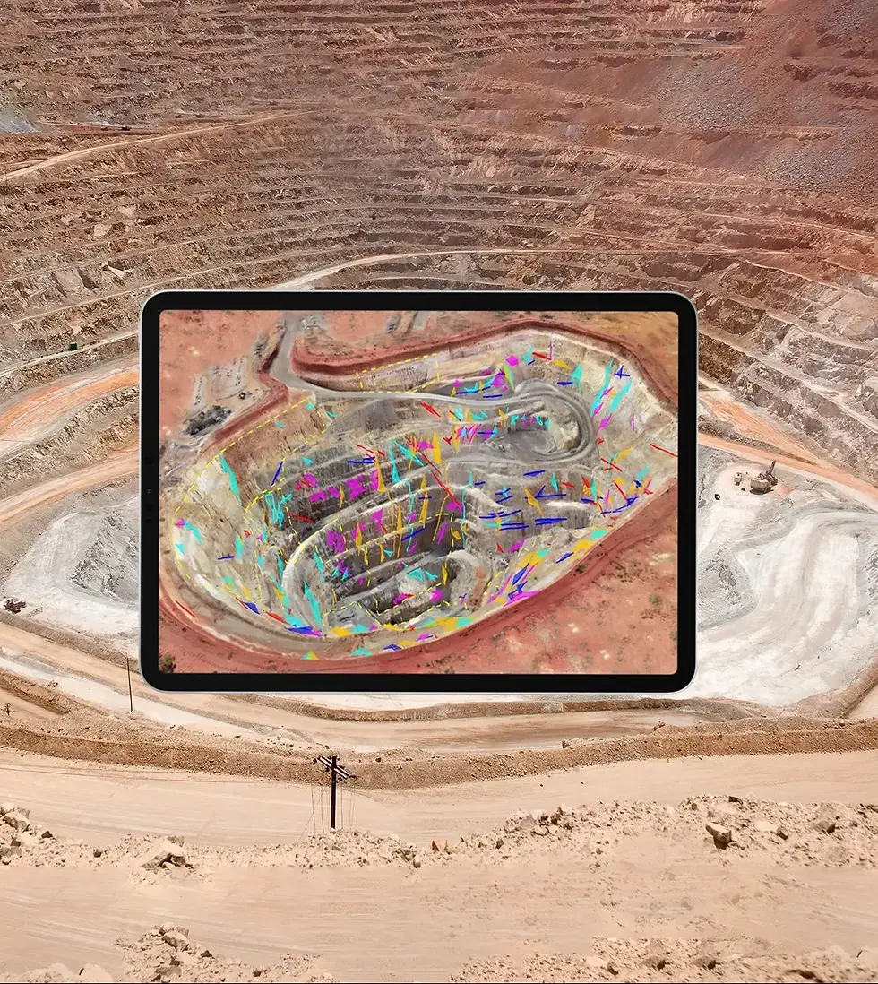 Flores de papoula rosa