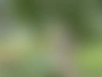 God's Voice in the Fluff