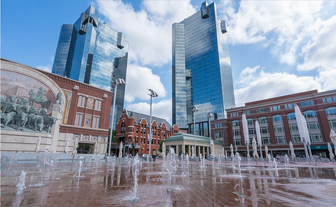 case Law copy_edited_edited.png