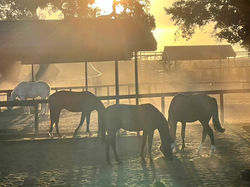 69AAF527-8D3D-4D2E-AB29-F4E78158010F_1_105_c