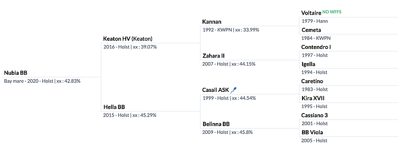 Nubia BB pedigree chart