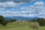 2020 image barn.jpg