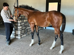 90960538-6AF2-4181-A757-335F706964A4_1_105_c