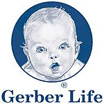 gerber.jpeg
