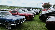 LW 06-22-14 08.jpg