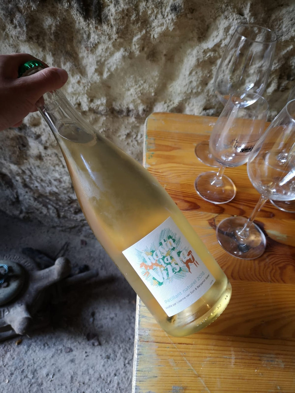 Sonshine Vin 2019 Harvest