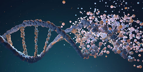 Dna-Science-of-Regeneration-Fiuggi.jpeg