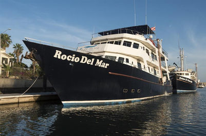 ספינת הצוללים rocio del mar סוקורו מקסיקו