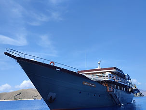 Carpe Vita and Dhoni Aerial.jpg