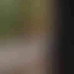 Hochzeitslocation Hochzeit feiern Künkele Mühle Sommer Bad Urach