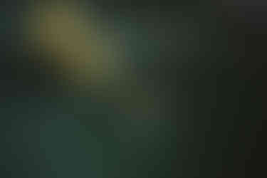 Location Hallo Emil Innensaal Hochzeitslocation Hochzeit feiern Stuttgart urban  Hochzeitsfotograf