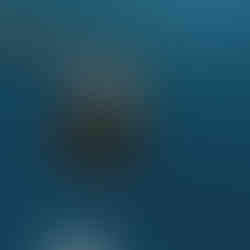 Discokugel Hallo Emil Hochzeit feiern Hochzeitslocation Sommer Stuttgart