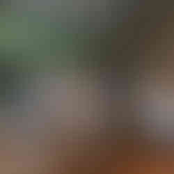 Brautstrauß Künkele Mühle natürliche Hochzeit Hochzeitslocation Bad Urach Hochzeitsfoto